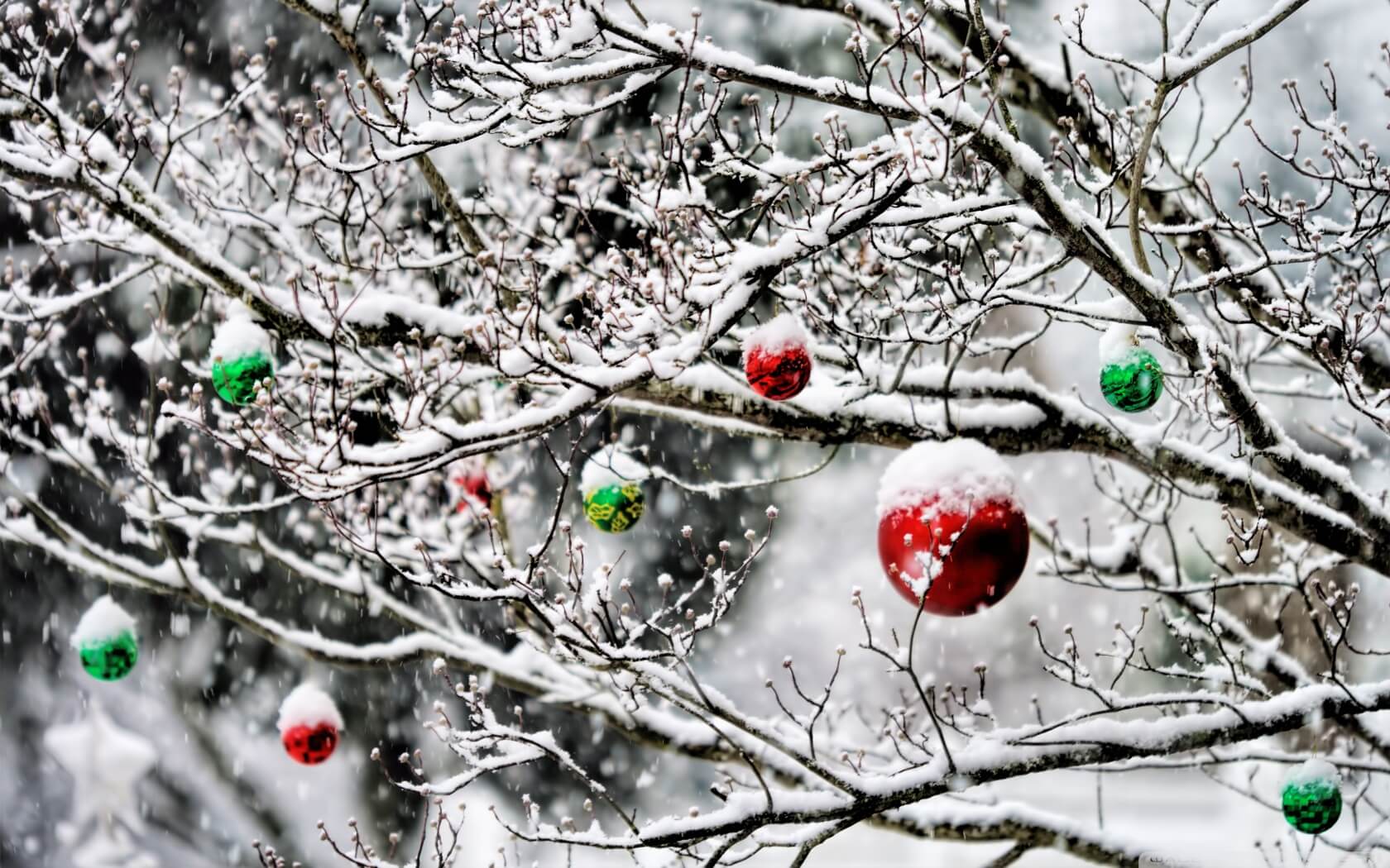 christmas_ornaments_in_the_snow-wallpaper-1680x1050